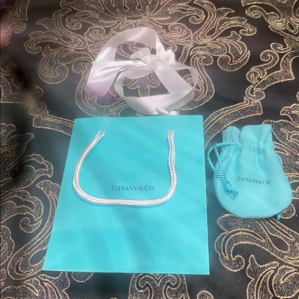 Tiffany & Co. Turquoise Bag and Pouch Set